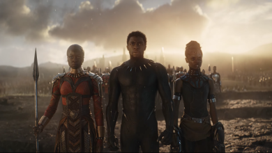 Black Panther warriors, including Shuri, standing in a field at sunset in Avengers: Endgame